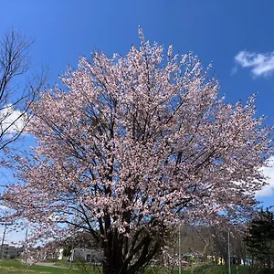 空彩-sorairo- 別荘